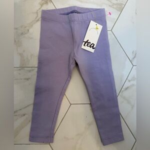 NWT Tea Collection Lavender Leggings